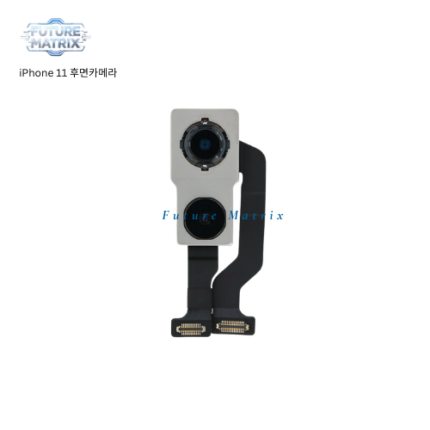 iPhone 11 후면카메라