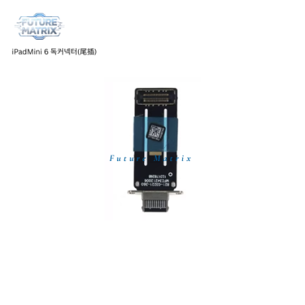 iPad Mini 6 독커넥터